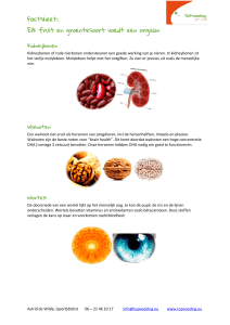 Factsheet: Elk fruit en groentesoort voedt een orgaan