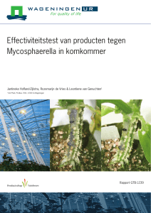 Effectiviteitstest van producten tegen Mycosphaerella in komkommer