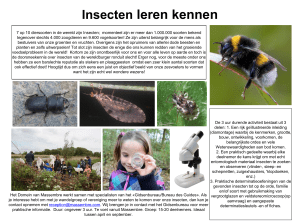 Insecten leren kennen