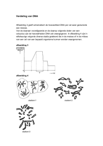 8 Verdeling van DNA