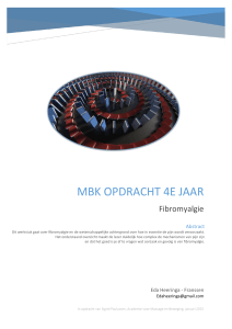 MBK opdracht 4e jaar - Integration-e
