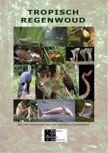 tropisch regenwoud - Centrum voor Mondiaal Onderwijs