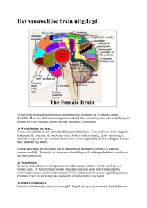 Het vrouwelijke brein uitgelegd