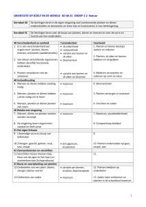 ORIENTATIE OP JEZELF EN DE WERELD