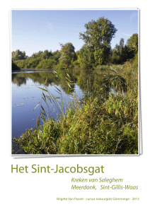 Het Sint-Jacobsgat - Natuurpunt Waasland