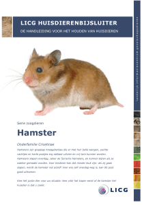 Hamster - ABC voor Dieren