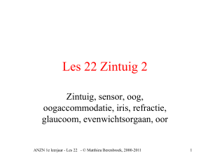 Les 22 Zintuig 2 - Matthieu Berenbroek