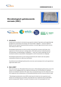 Microbiologisch geïnduceerde corrosie (MIC)