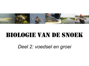 De volwassen snoek - Sportvisserij Nederland