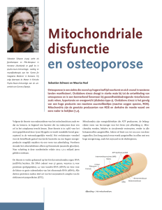 Mitochondriale disfunctie en osteoporose