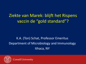 Ziekte van Marek: blijft het Rispens vaccin de “gold standard”?