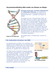 Docentenhandleiding DNA-model van flessen en blikjes