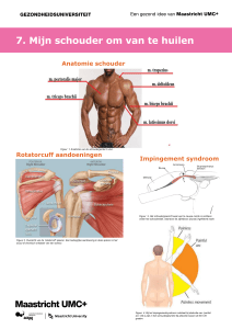 Impingement syndroom Anatomie schouder Rotatorcuff aandoeningen