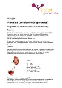 Flexibele ureterorenoscopie (URS) - Diagnostische en/of