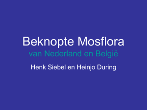 Beknopte Mosflora van Nederland en België