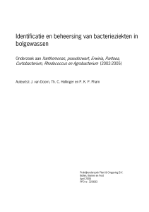 Identificatie en beheersing van bacterieziekten in bolgewassen