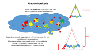 Nieuwe Betekenis - Insights Benelux