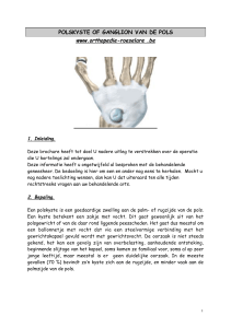 Polskyste - Orthopedie Roeselare