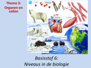 Basisstof 6: Niveaus in de biologie