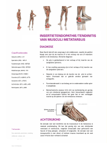 4.6: insertietendopathie/tendinitis van musculi metatarsus