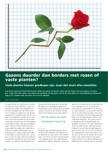 Gazons duurder dan borders met rozen of vaste planten?