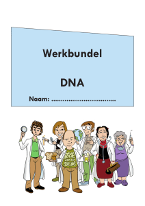 Werkbundel DNA