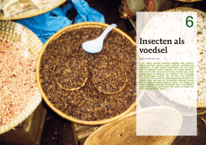 Insecten als voedsel - Wageningen UR E