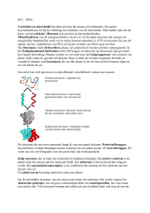 H13 – DNA - katrijns