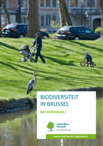 Biodiversiteit in Brussel: een buitenkans!