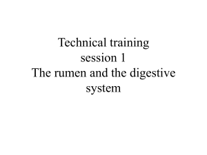 Rumen anatomy and rumen function training 