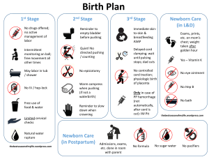 birth-plan-from-thebestseasonofmylife-wordpress-com