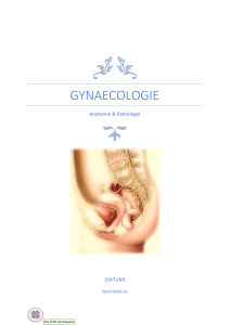 Anatomie Pathologie gynaecologieJOECE
