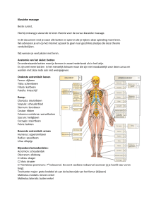 Ondersteunende theorie klassieke massage V1.2