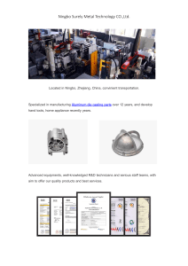 Ningbo Surely Metal Technology CO.,Ltd.