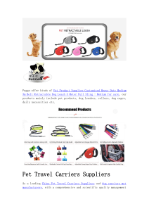 Retractable Dog Leashes Suppliers