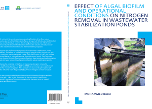 Algal Biofilm & Operational Conditions: Nitrogen Removal in Wastewater Ponds